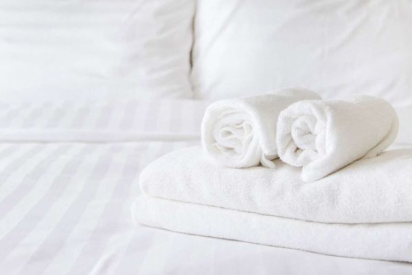 MAGNUSON HOTEL FRANKLIN SQUARE (Houghton)